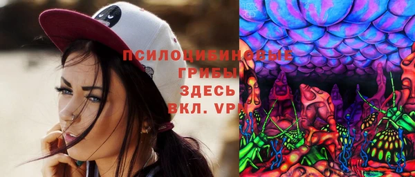 spice Кулебаки