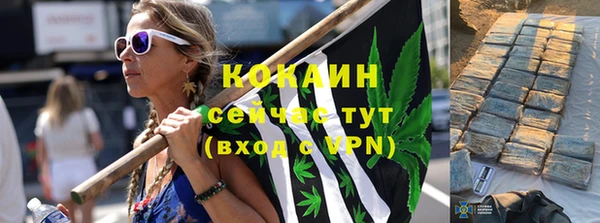 PSILOCYBIN Кукмор