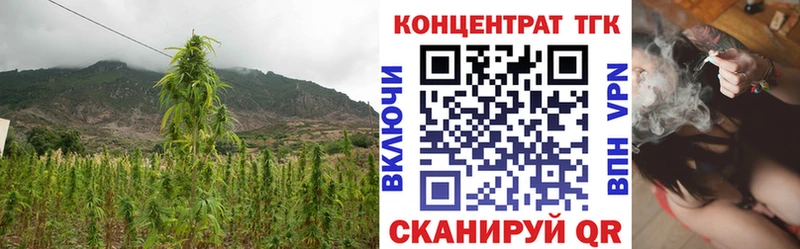 ТГК жижа  Купино 