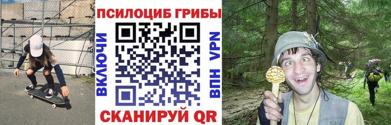 Псилоцибиновые грибы Psilocybine cubensis  где продают   Купино 