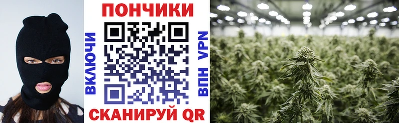 МАРИХУАНА Bruce Banner  Купино 